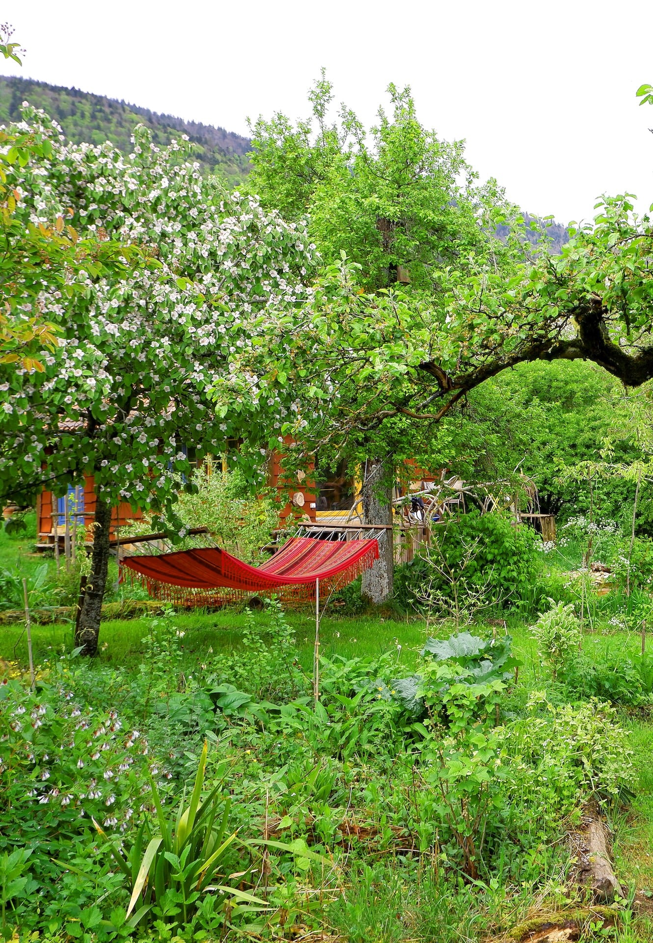 Giardino naturale