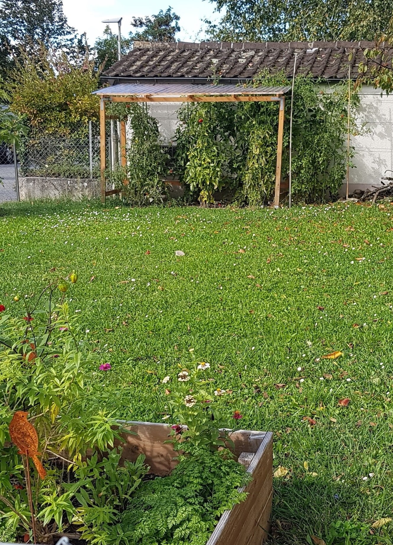 Giardino semi-naturale
